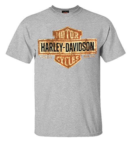 Harley-Davidson Men's Up Swept Eagle Short Sleeve T-Shirt 30296656