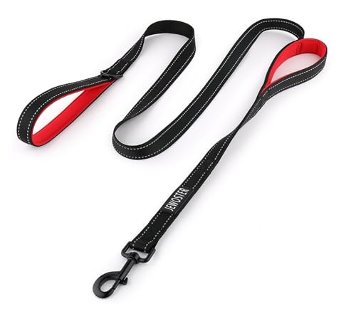 JEWOSTER 6ft Heavy Duty Dog Leash with Padded Traffic Handle