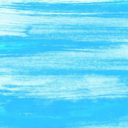 WIWIGO Waterproof Sandproof Beach Blanket Lightweight Nylon Picnic Mat