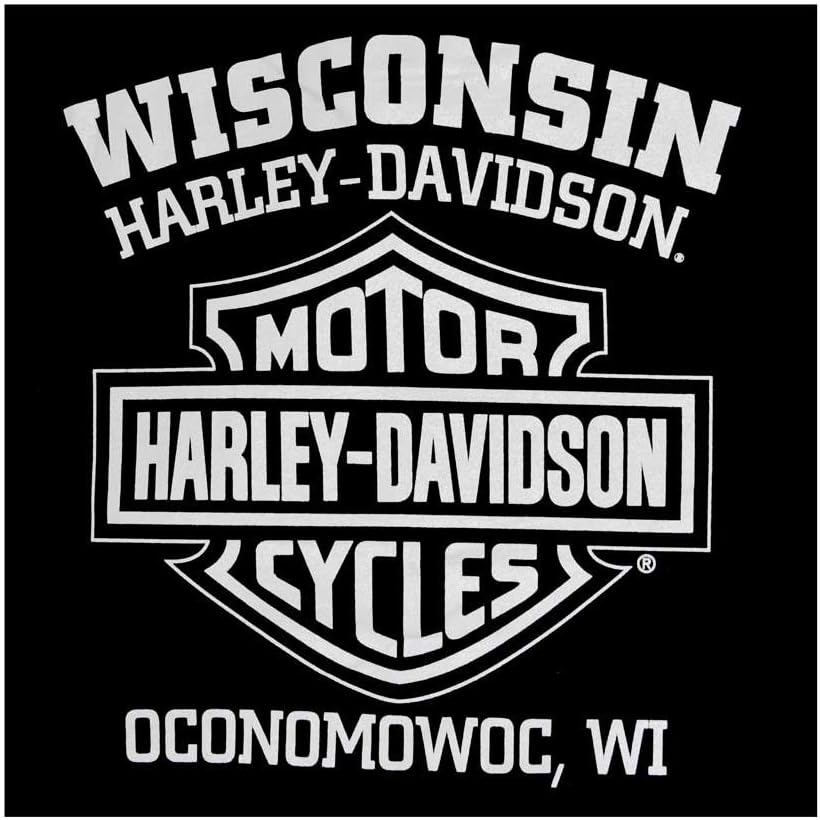 Harley-Davidson Men's Up Swept Eagle Short Sleeve T-Shirt 30296656