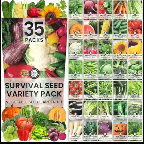 Garden: Vegetable Herb and Fruit Seeds can be kept in their resealable packets & learn to dry seeds. Have a cold iced tea