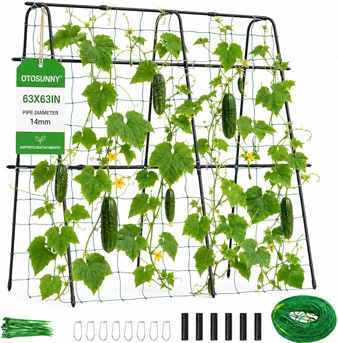 Garden: Metal Trellis for Raised beds. Easier to prune, gather and share with your friends.